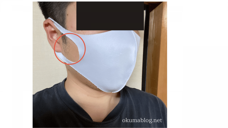 イオンパステルマスクのサイズ 着け心地をレビュー 顔がデカくても似合うマスクを探す旅 Okuma Blog